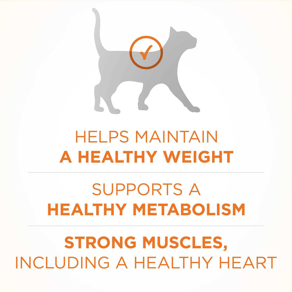 Dry Cat Food Q246