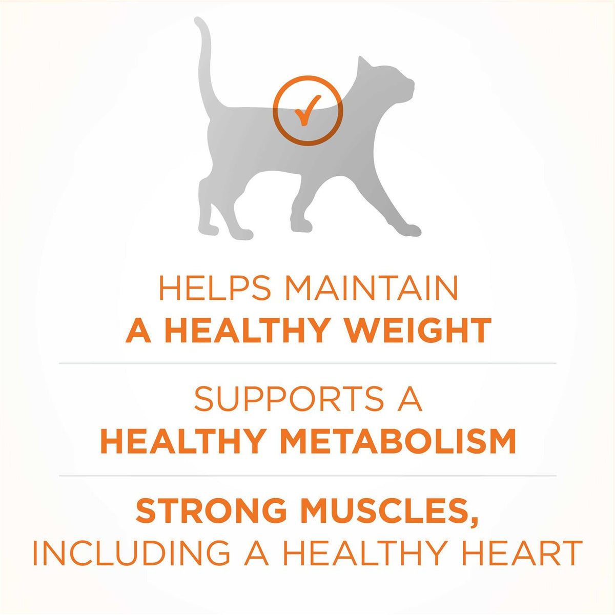 Dry Cat Food Q246