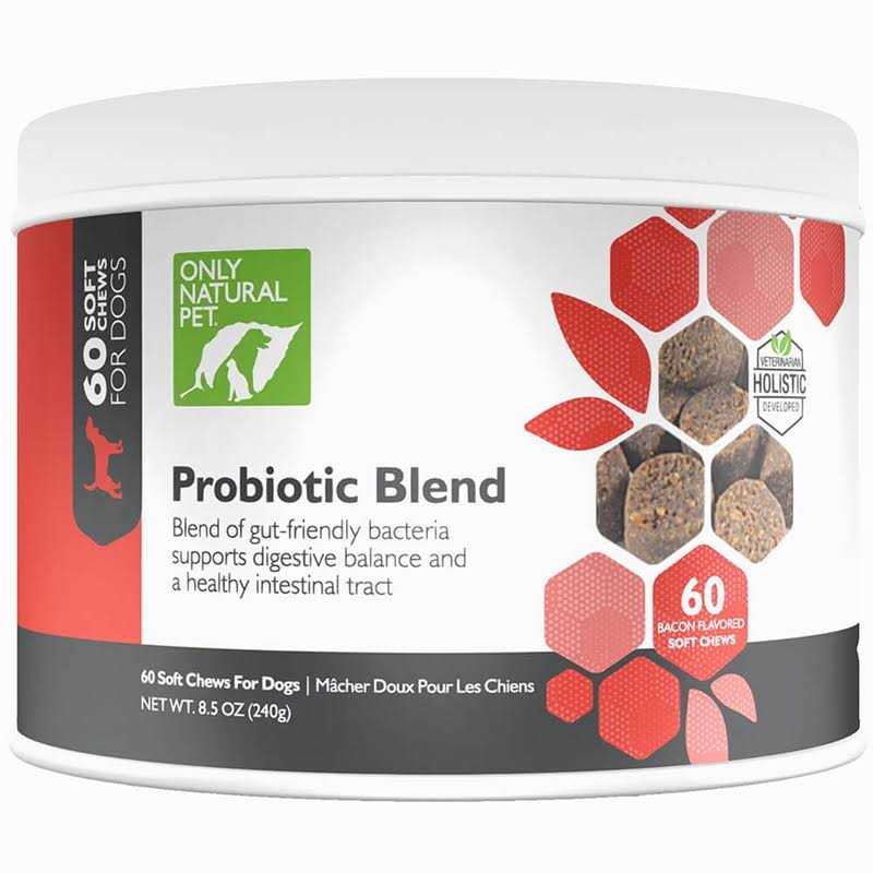 Probiotic Blend Soft Chews 60 Count Y2439