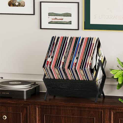 Black 1 Tier Vinyl Record Storage Rack P829