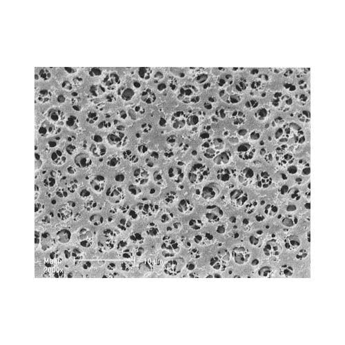 25 mm Cellulose Acetate Membrane Filter, 1.2 um, 100 Pcs G239
