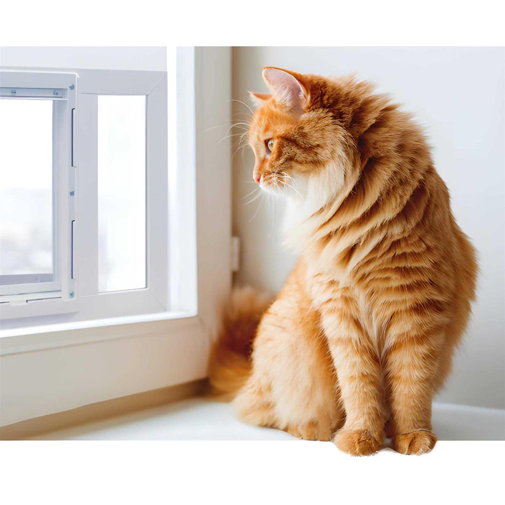 Aluminum Sash Pet Door Z724384
