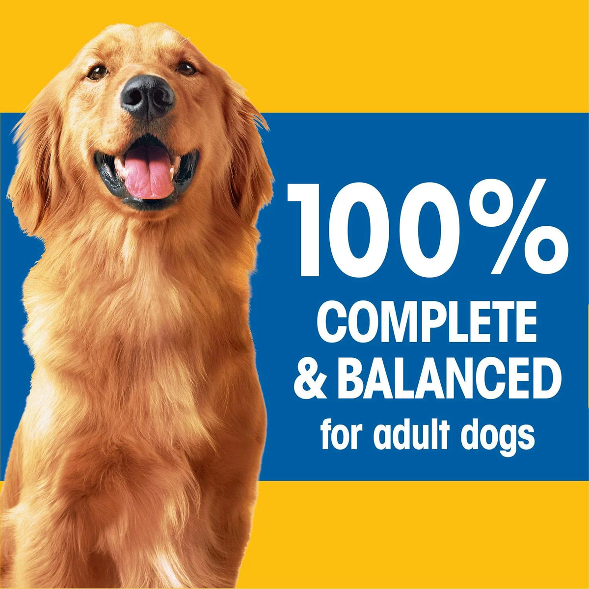 Adult Dry Dog Food 14lb V914