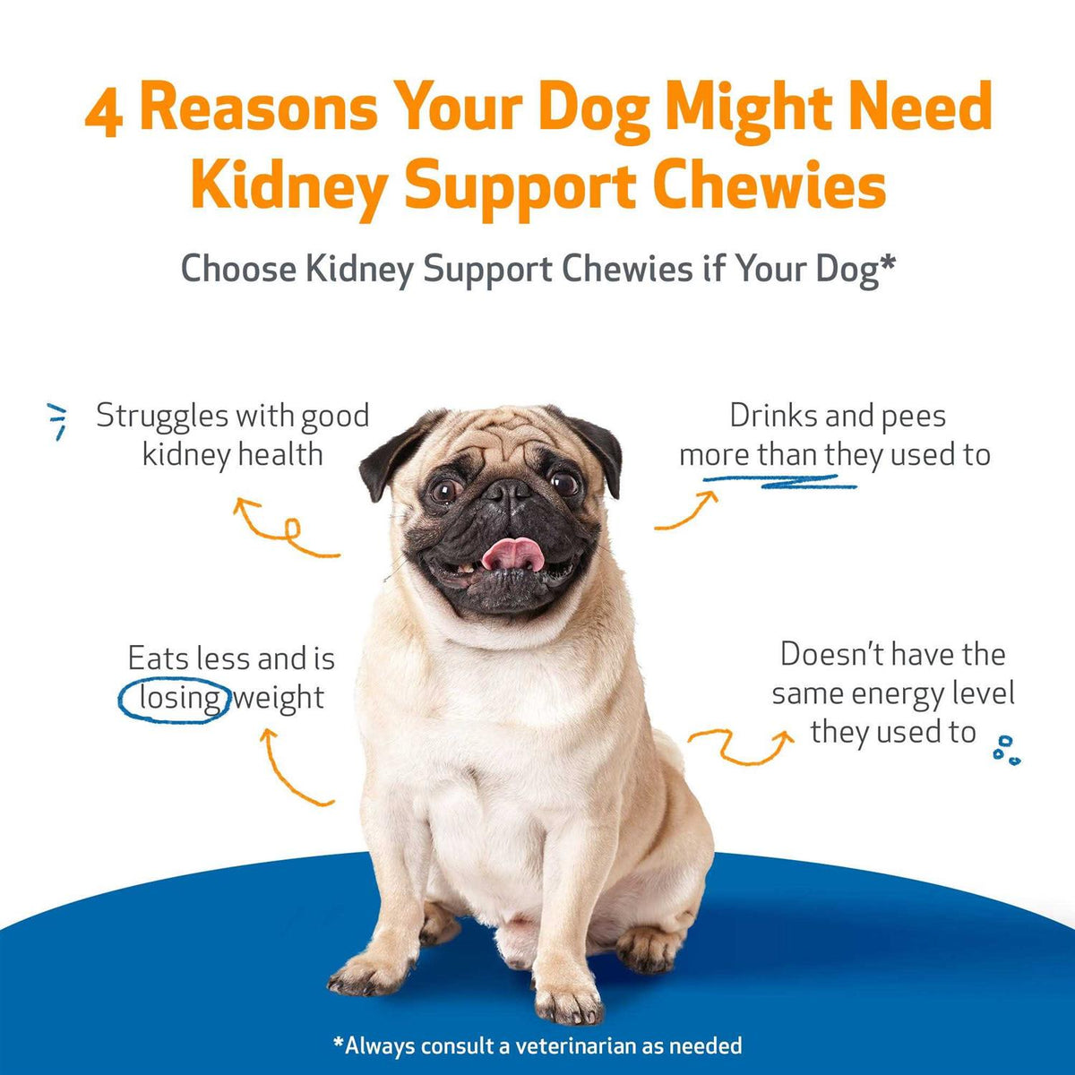 Kidney Support Chewies for Dogs Q322677