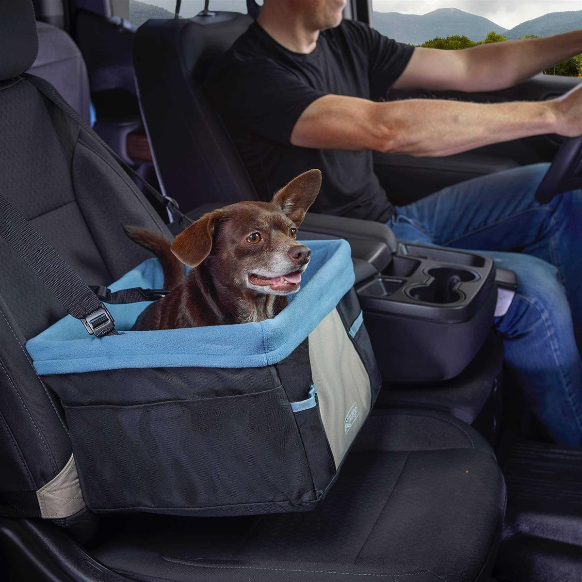 Dog Booster Seat J4467