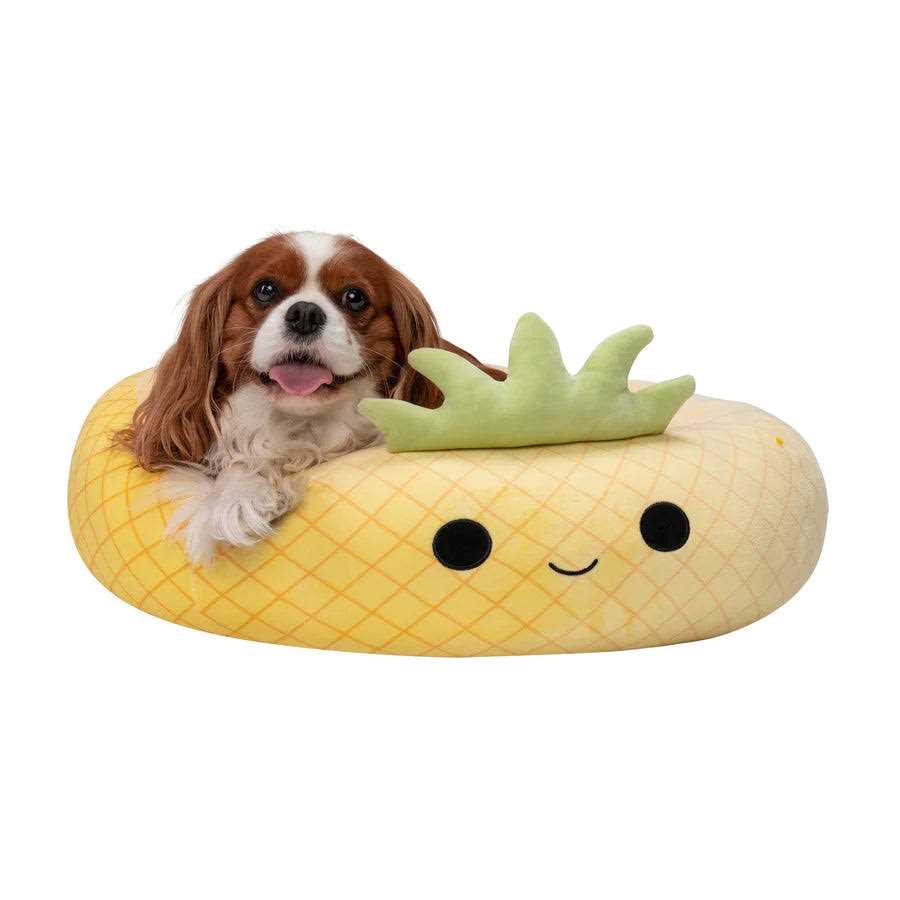 Pineapple Pet Bed B437142
