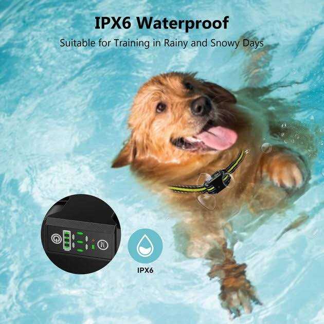 Waterproof Dog Bark Collar G293130