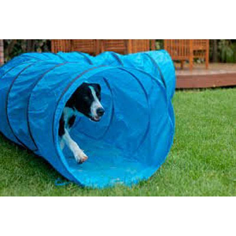 Dog Training Tunnel E73831