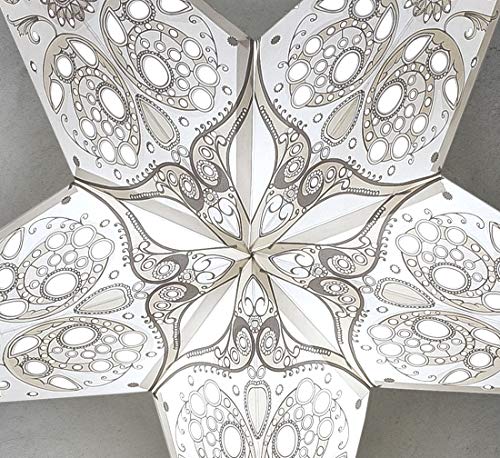 24 Inch White 3D 5-Point Paper Star Lantern E689571