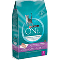 Kitten Dry Food I873202