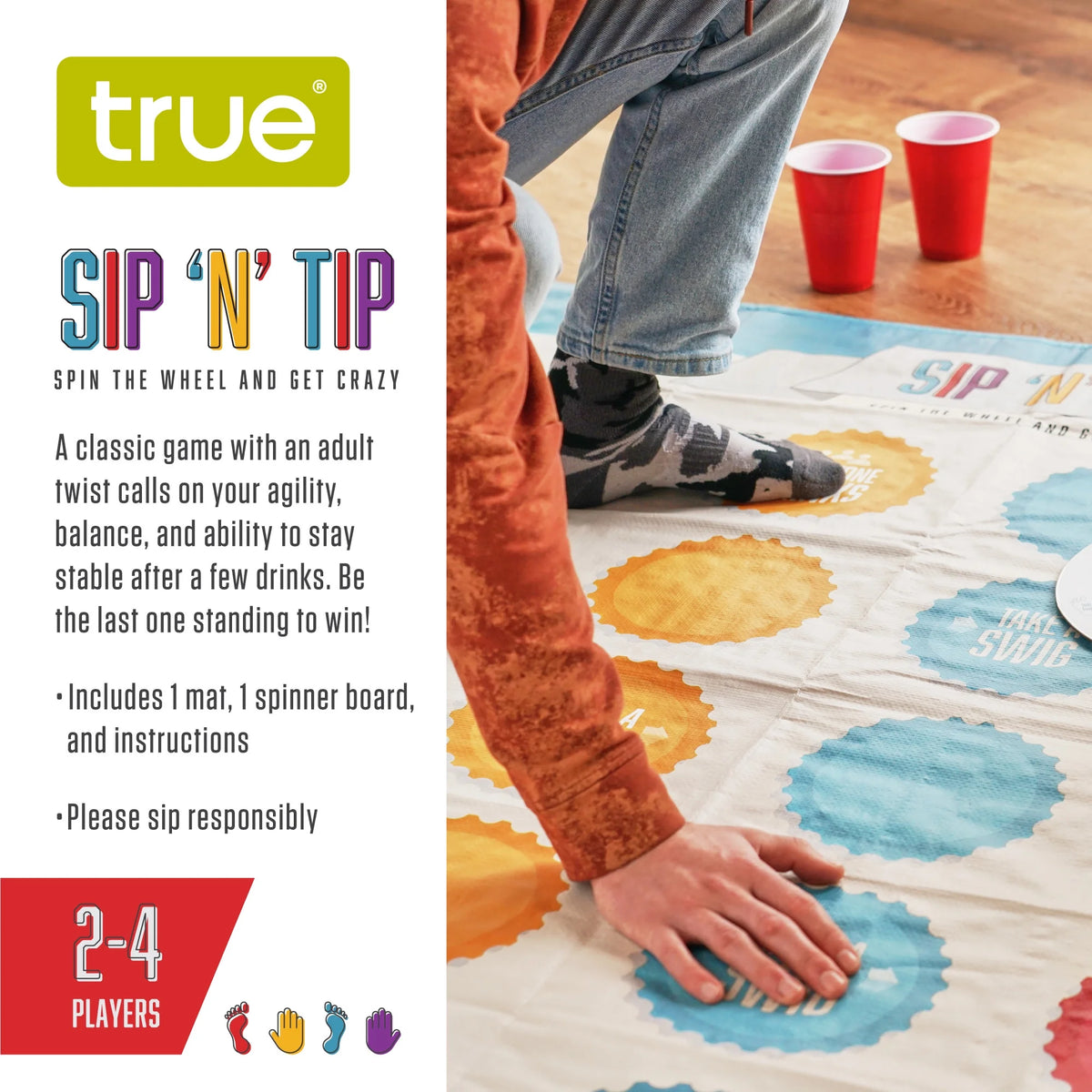 Drinking Game with Mat and Spinner A245899
