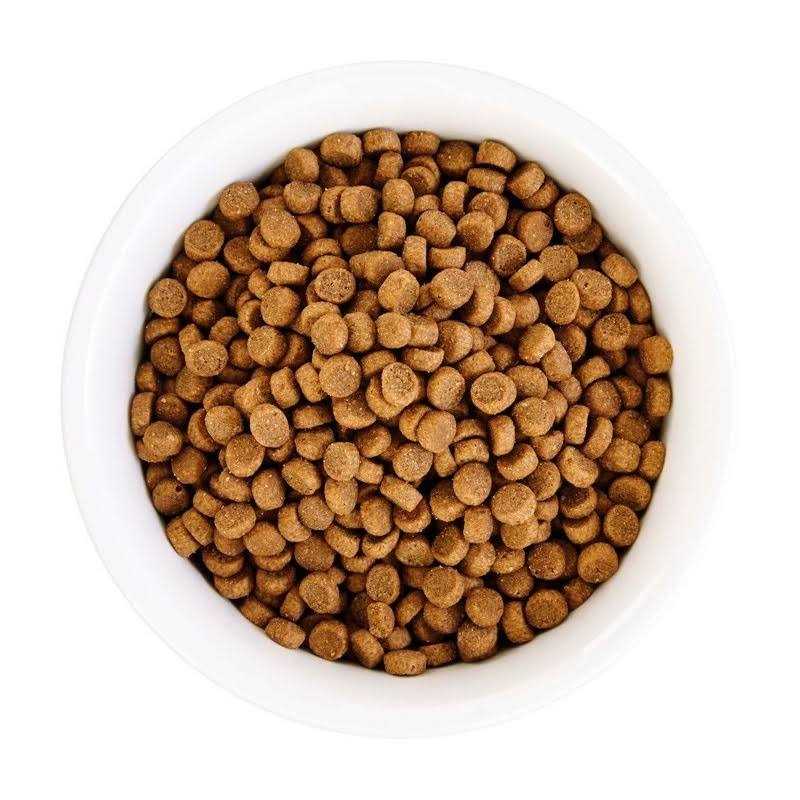 Grain Free Chicken Formula Dry Cat Food I55068