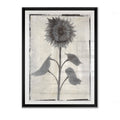 Framed Giclee Print 30x40 L455589