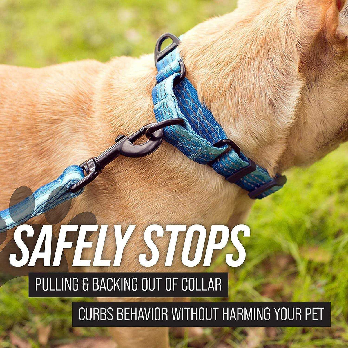 Patterned Fabric Martingale Dog Collar E27690