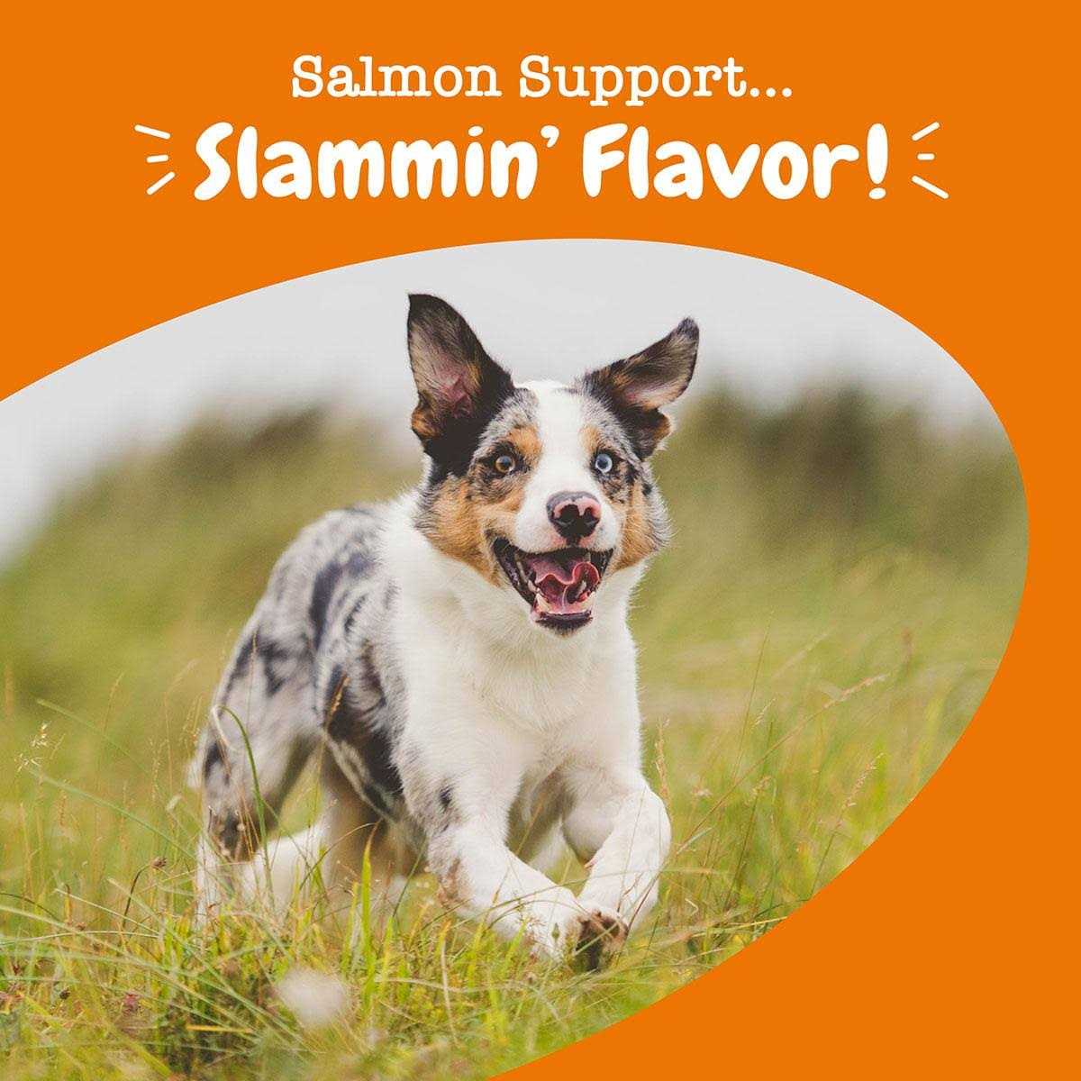 Salmon Bites for Dogs P678439
