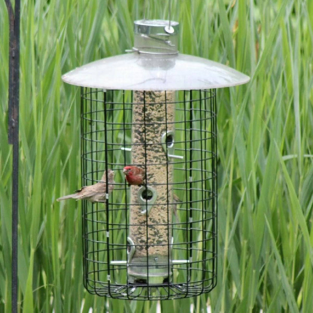 Domed Cage Feeder E4090