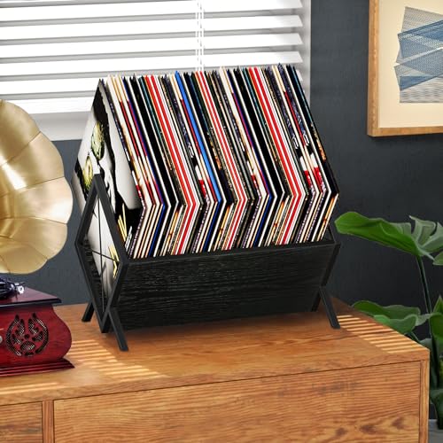 Black 1 Tier Vinyl Record Storage Rack P829