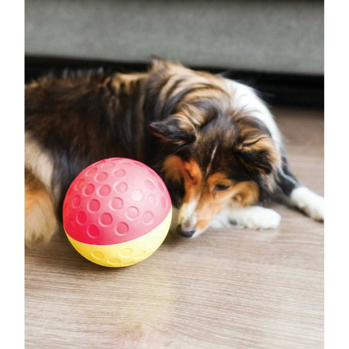 Treat Tumble Dog Toy B522801
